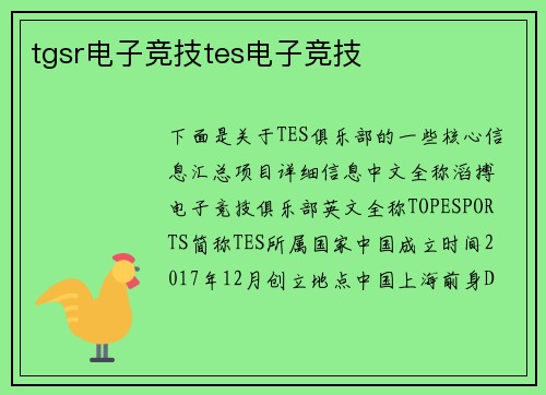 tgsr电子竞技tes电子竞技